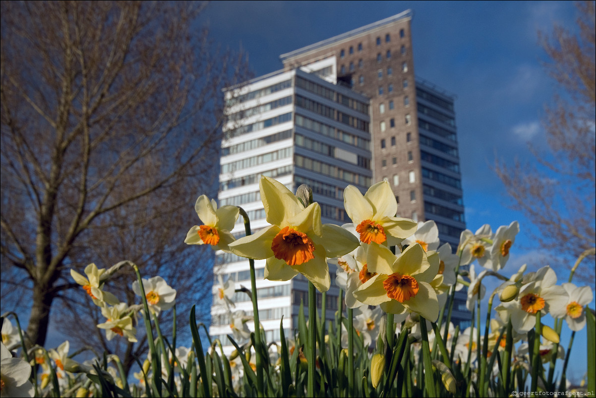 Almere Oost Filmwijk Lumierepark