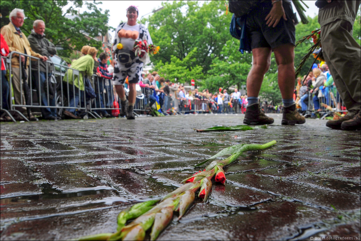 Vierdaagse van Nijmegen