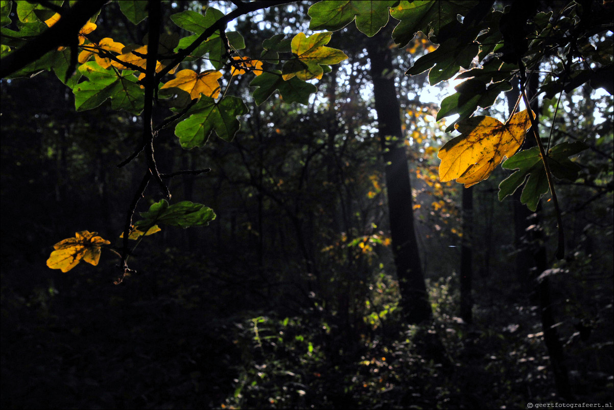 herfst