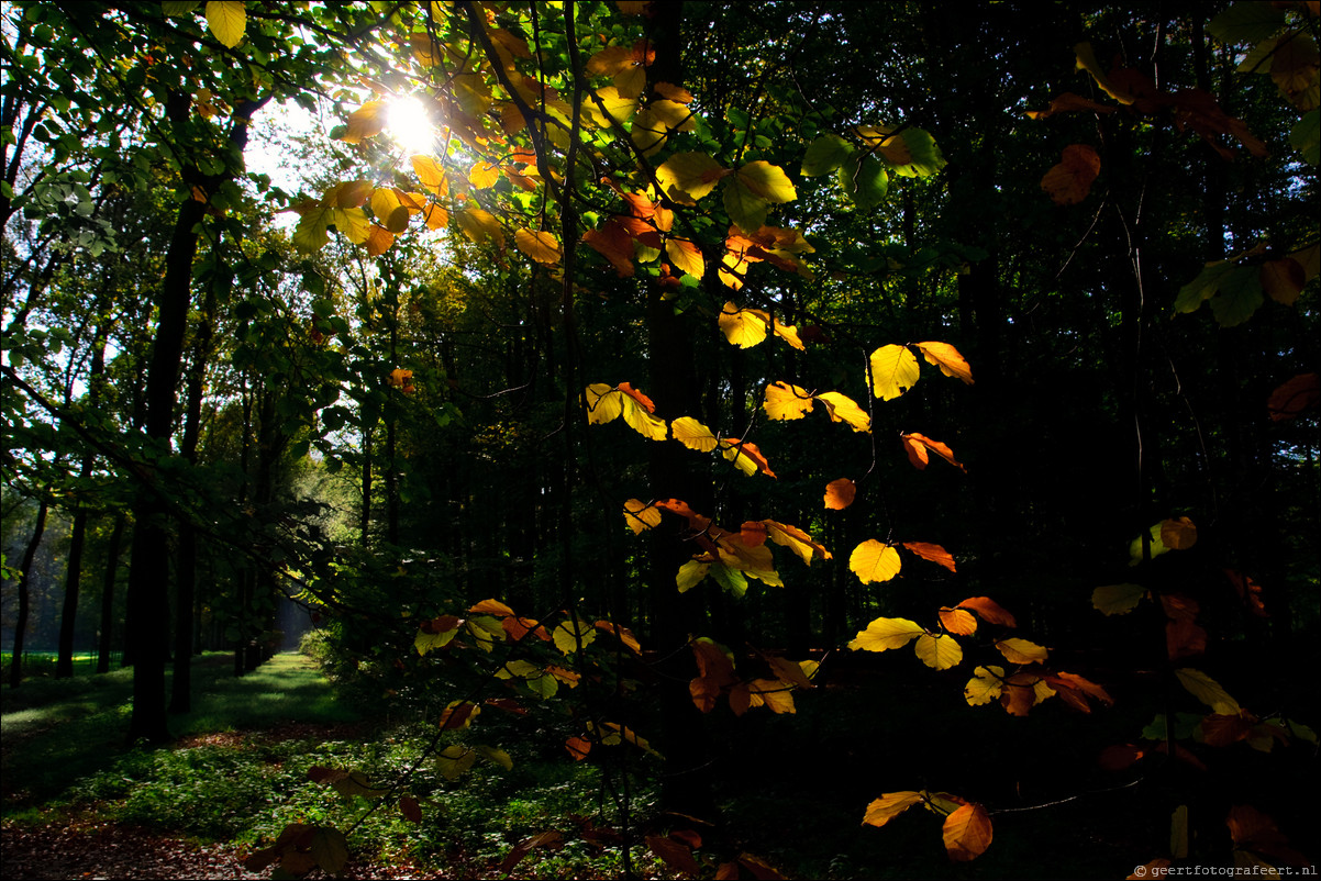 herfst