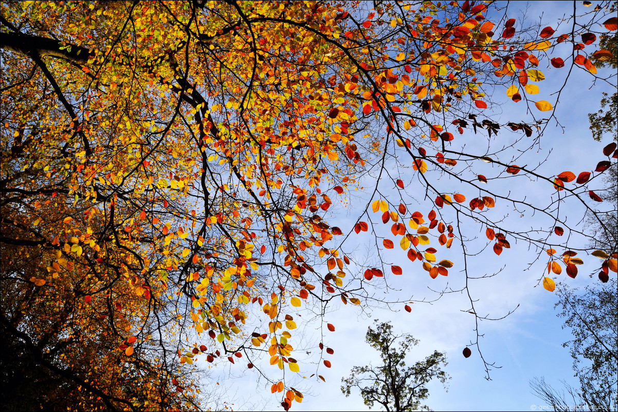 herfst