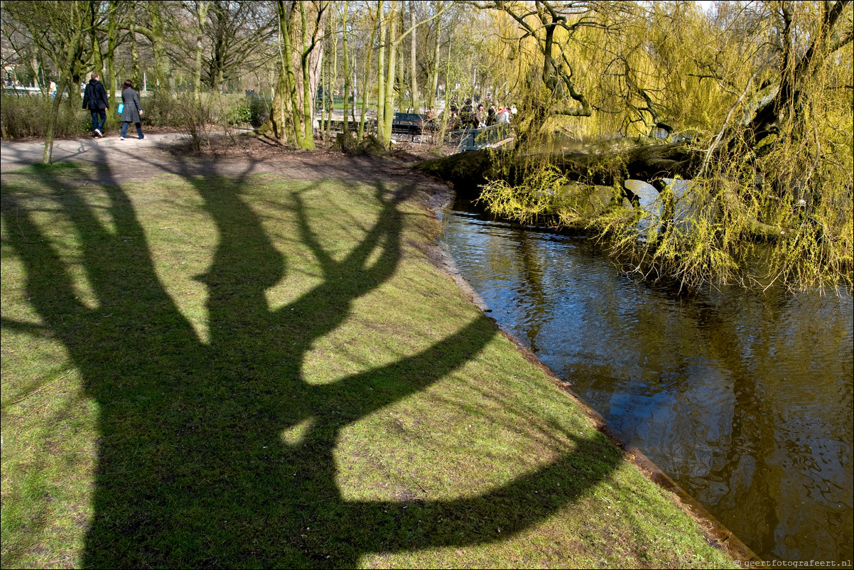 Boomschaduwen Vondelpark