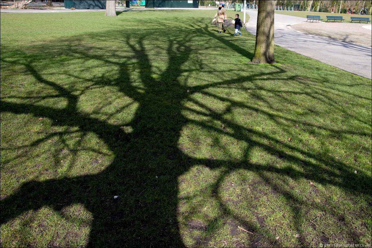 Boomschaduwen Vondelpark