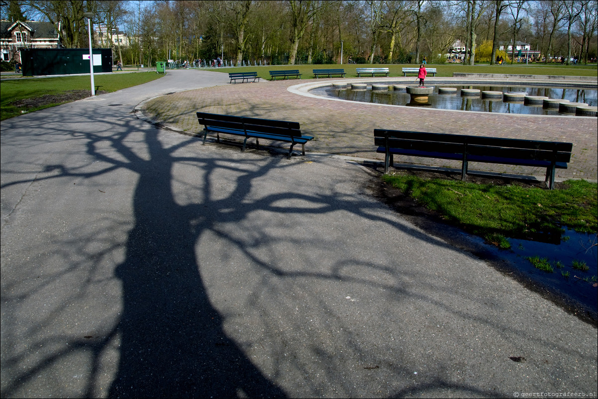 Boomschaduwen Vondelpark