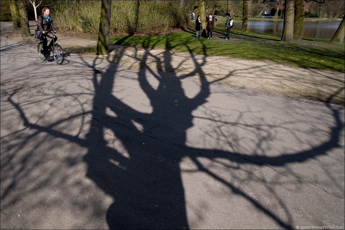 Boomschaduwen Vondelpark