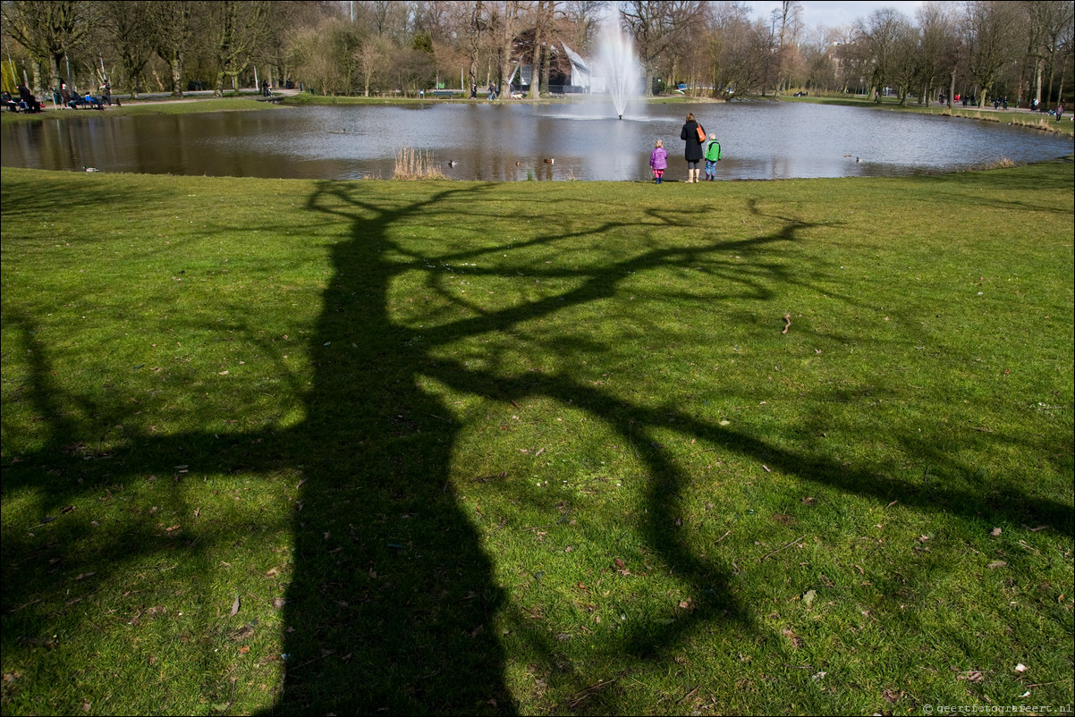 Boomschaduwen Vondelpark