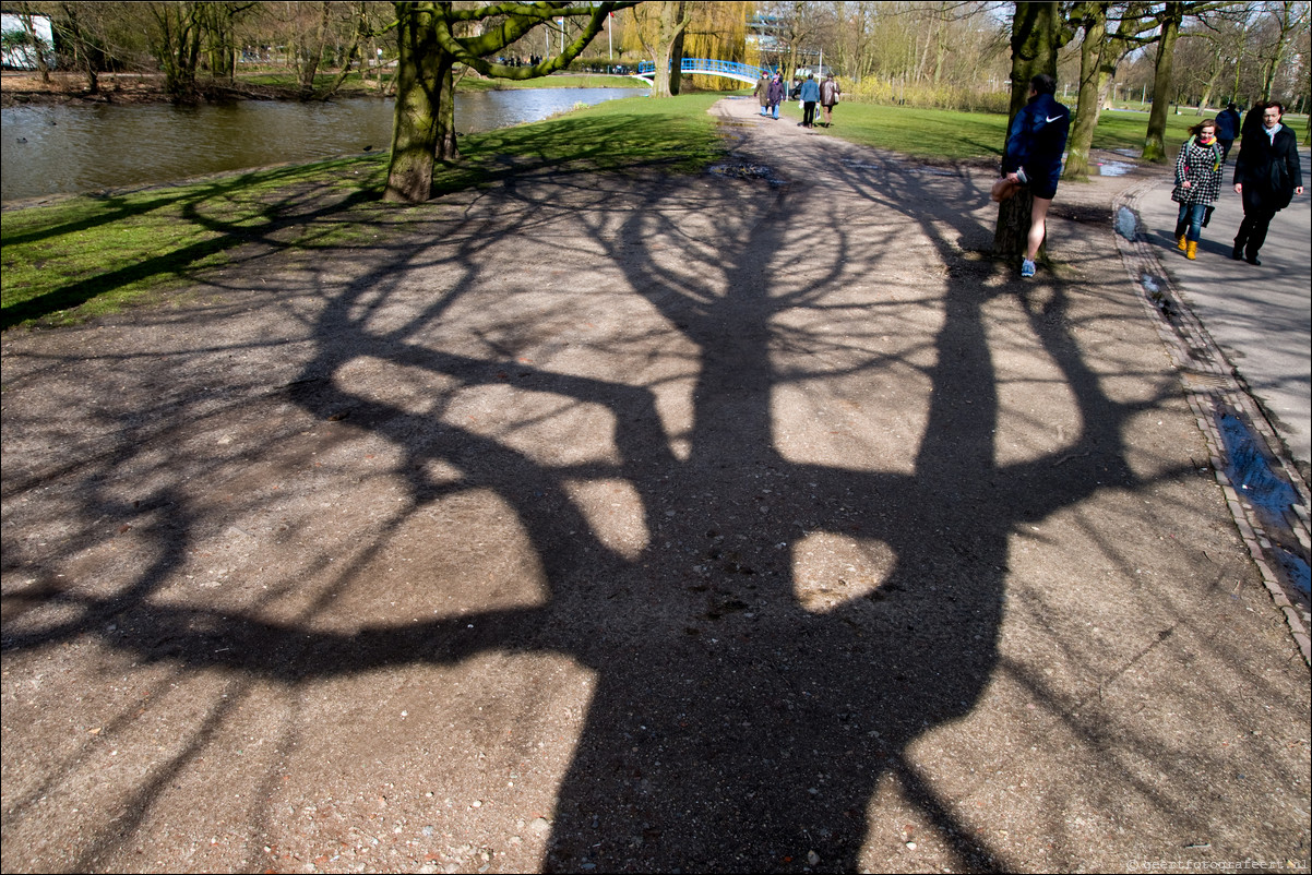 Boomschaduwen Vondelpark