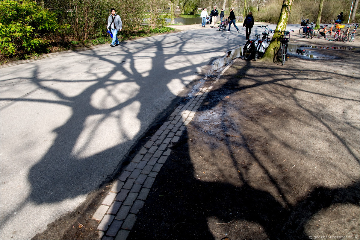 Boomschaduwen Vondelpark