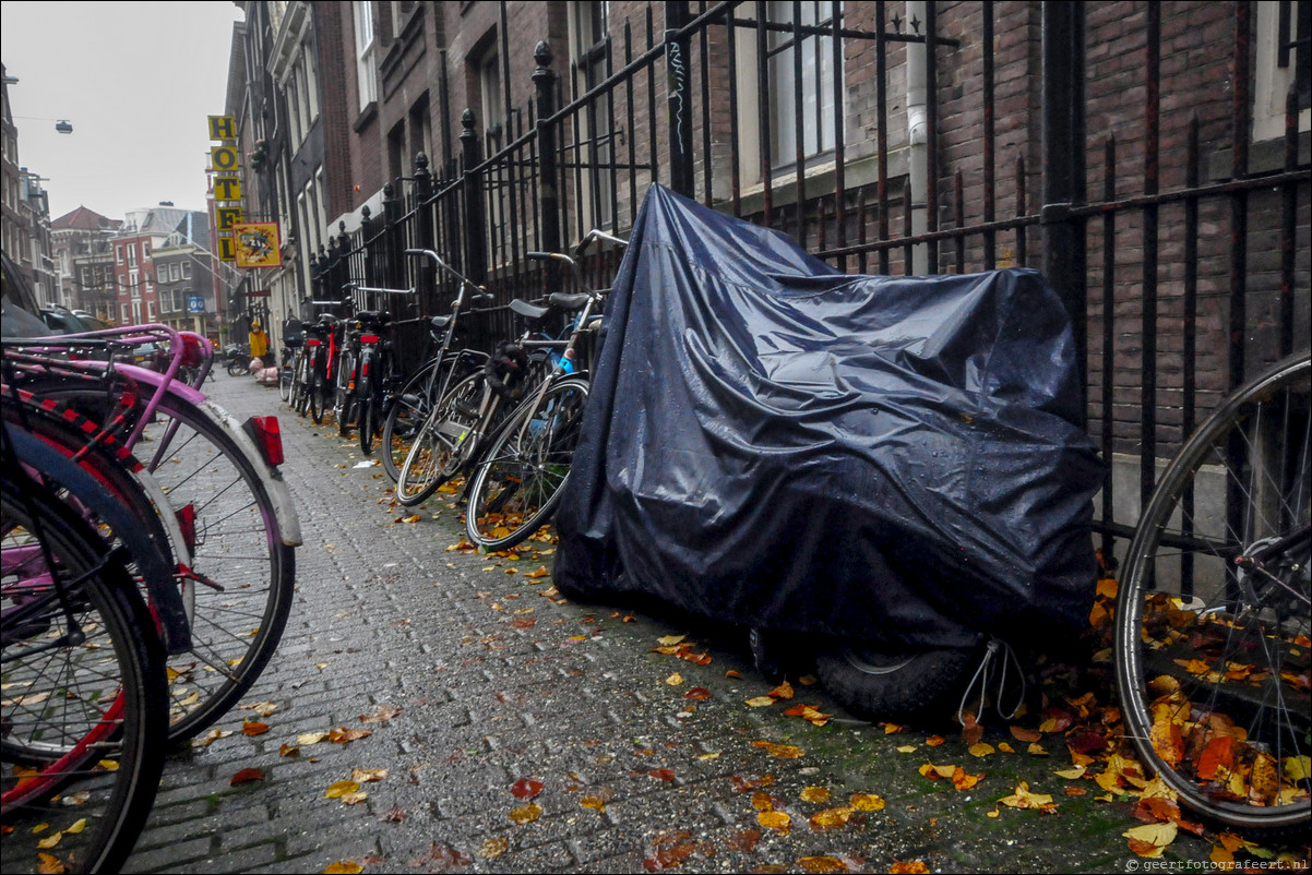 Amsterdam winterslaap