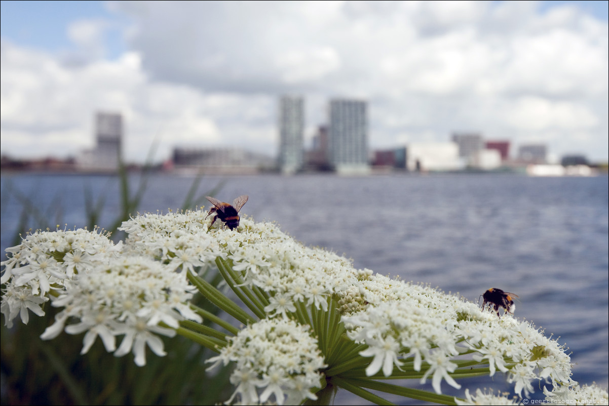 Skyline Almere