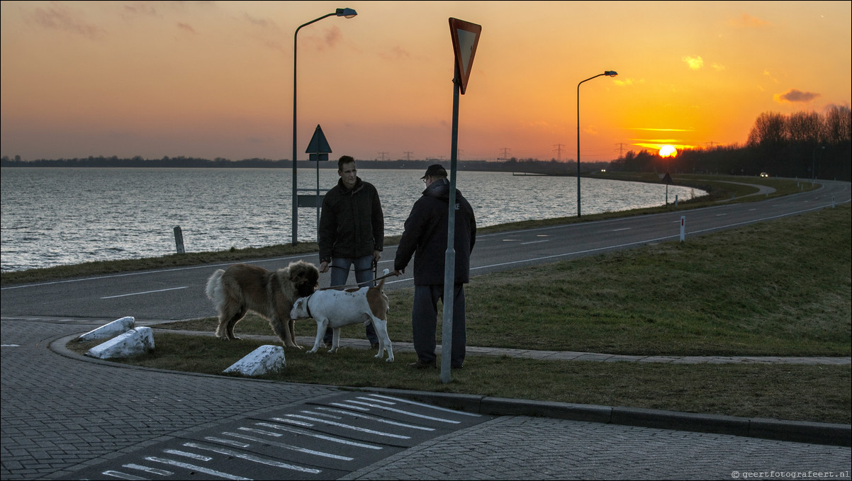 Gooimeer