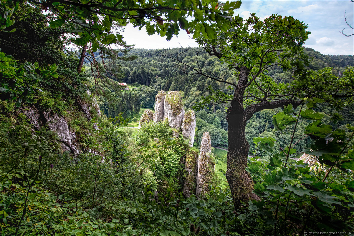 Polen Ojcow Nationaal Park