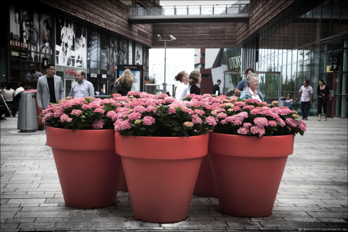 Straatfotografie