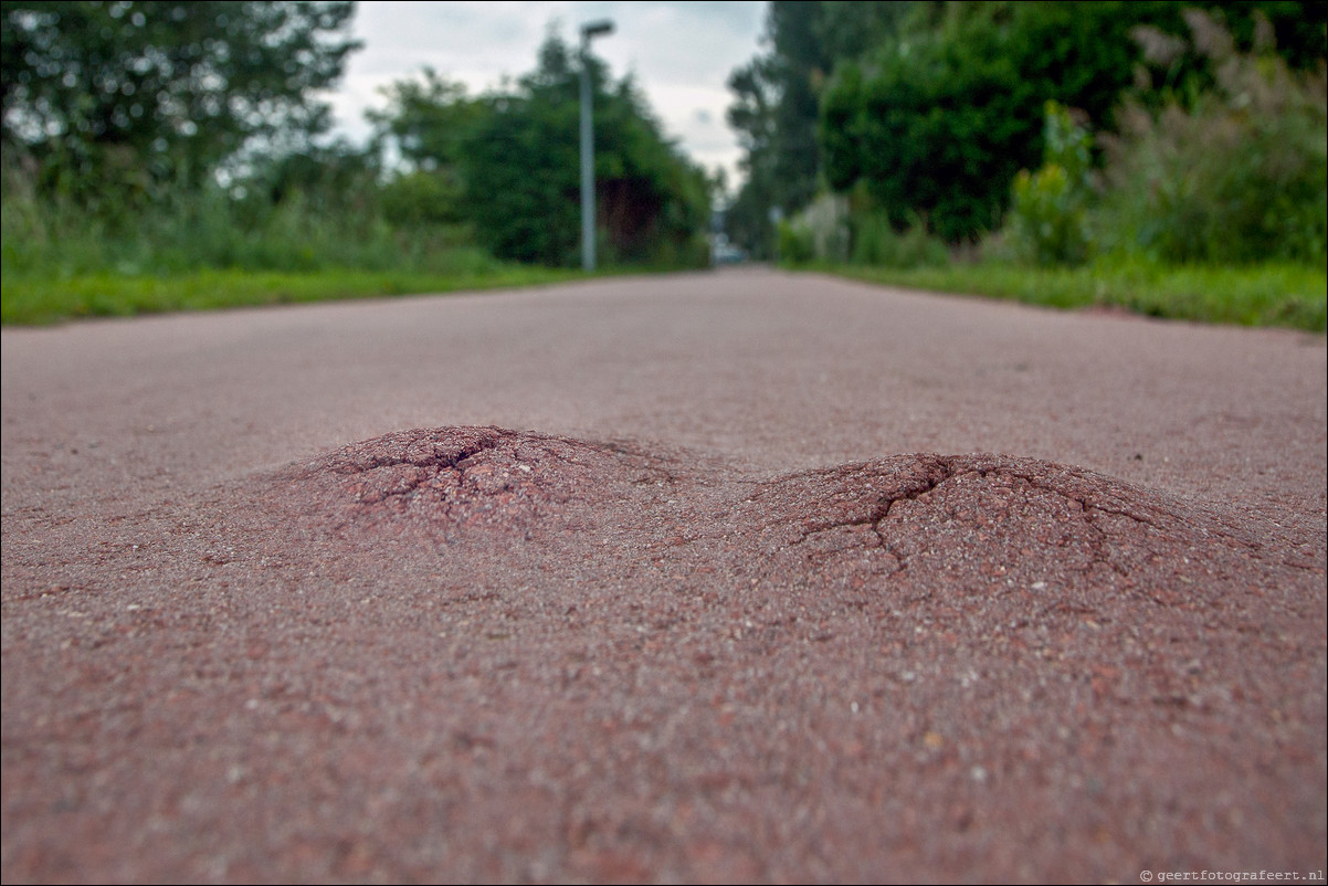 Straatfotografie