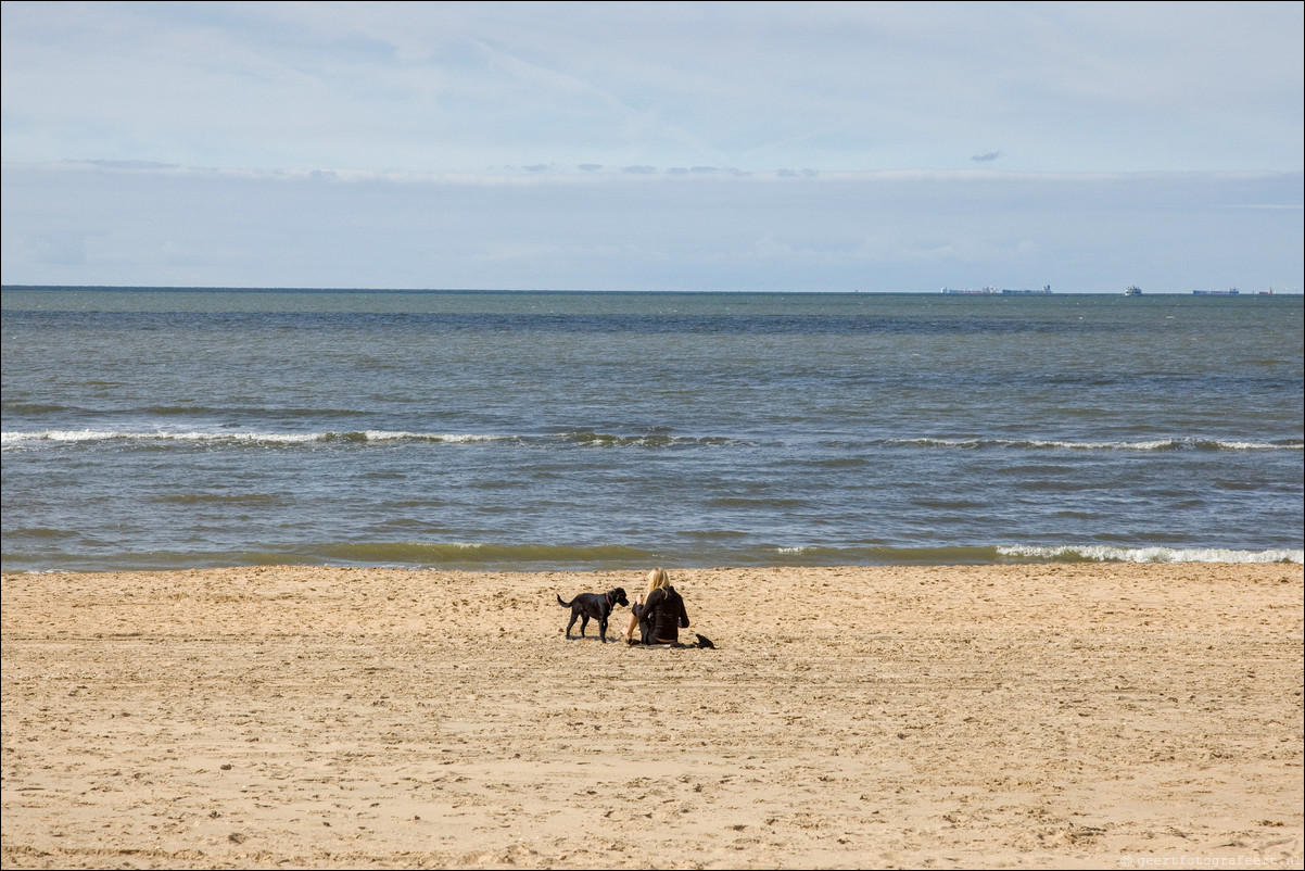 Zomer