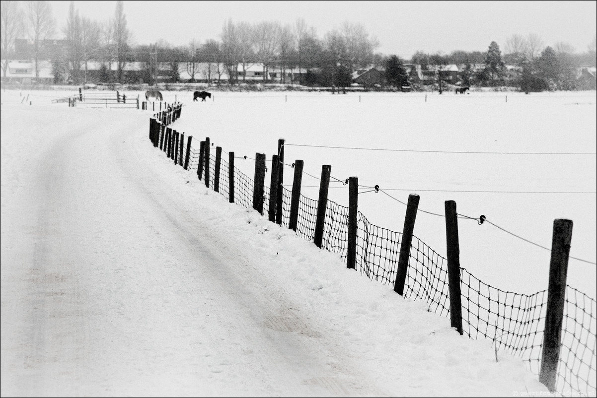 Wandeling Heemstede - Aardenhout