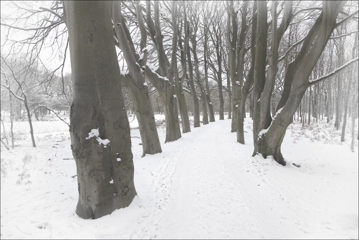 Wandeling Heemstede - Aardenhout