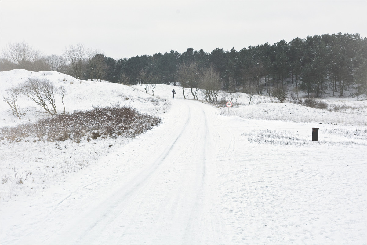 Wandeling Heemstede - Aardenhout