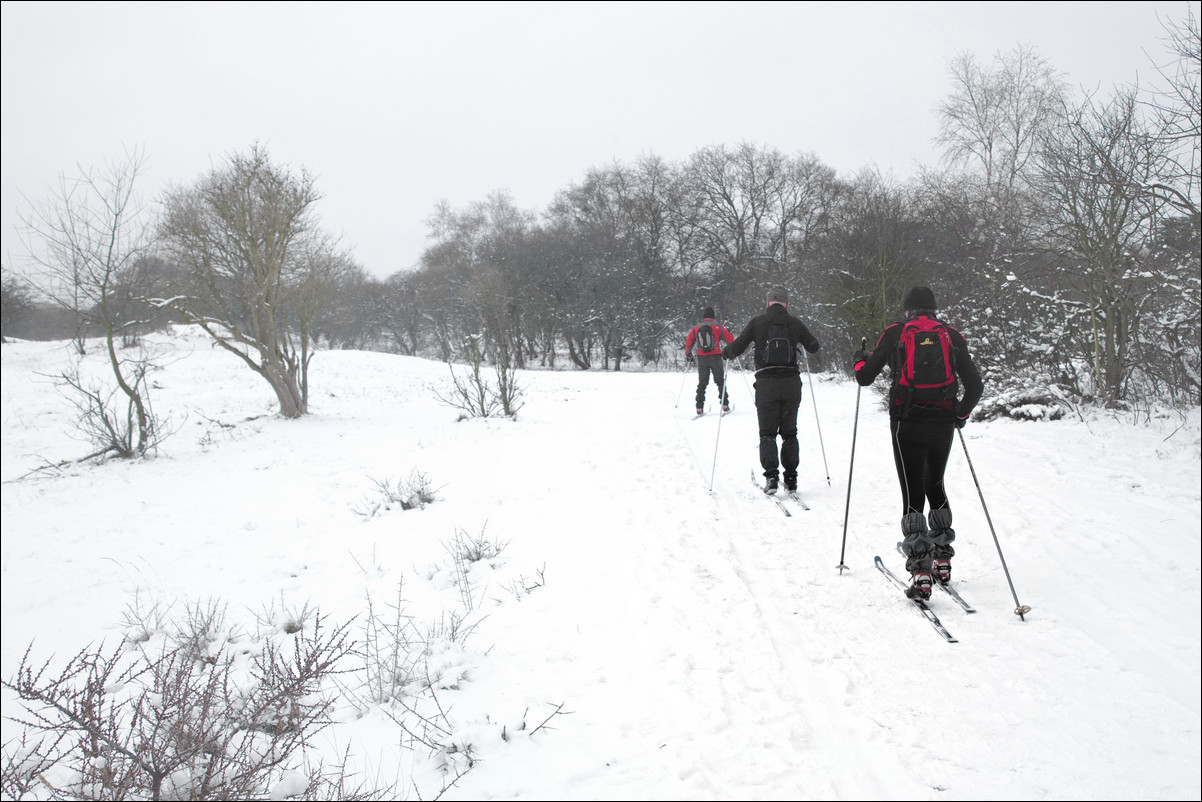 Wandeling Heemstede - Aardenhout