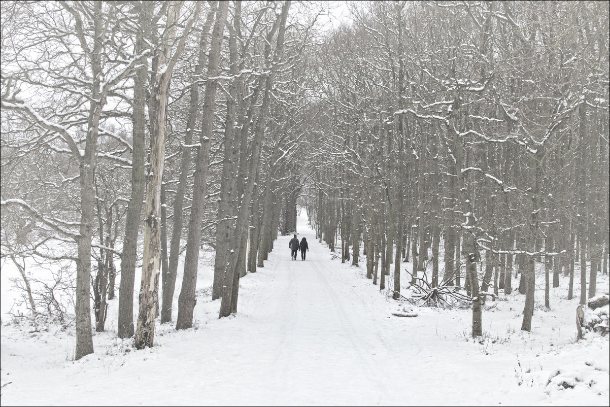 Wandeling Heemstede - Aardenhout