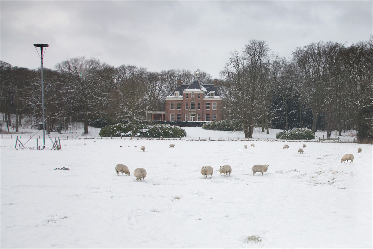 Wandeling Heemstede - Aardenhout