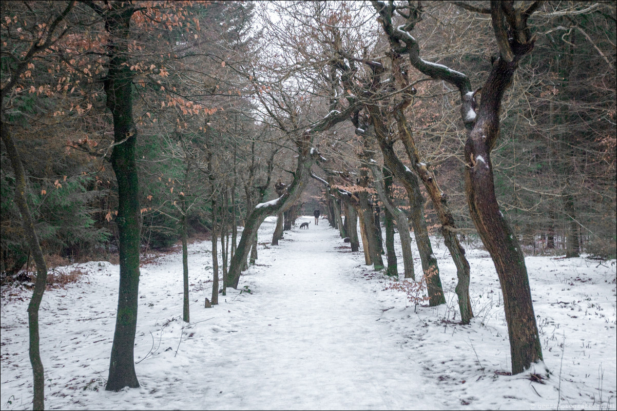 Wandeling Baarn - Hollandse Rading