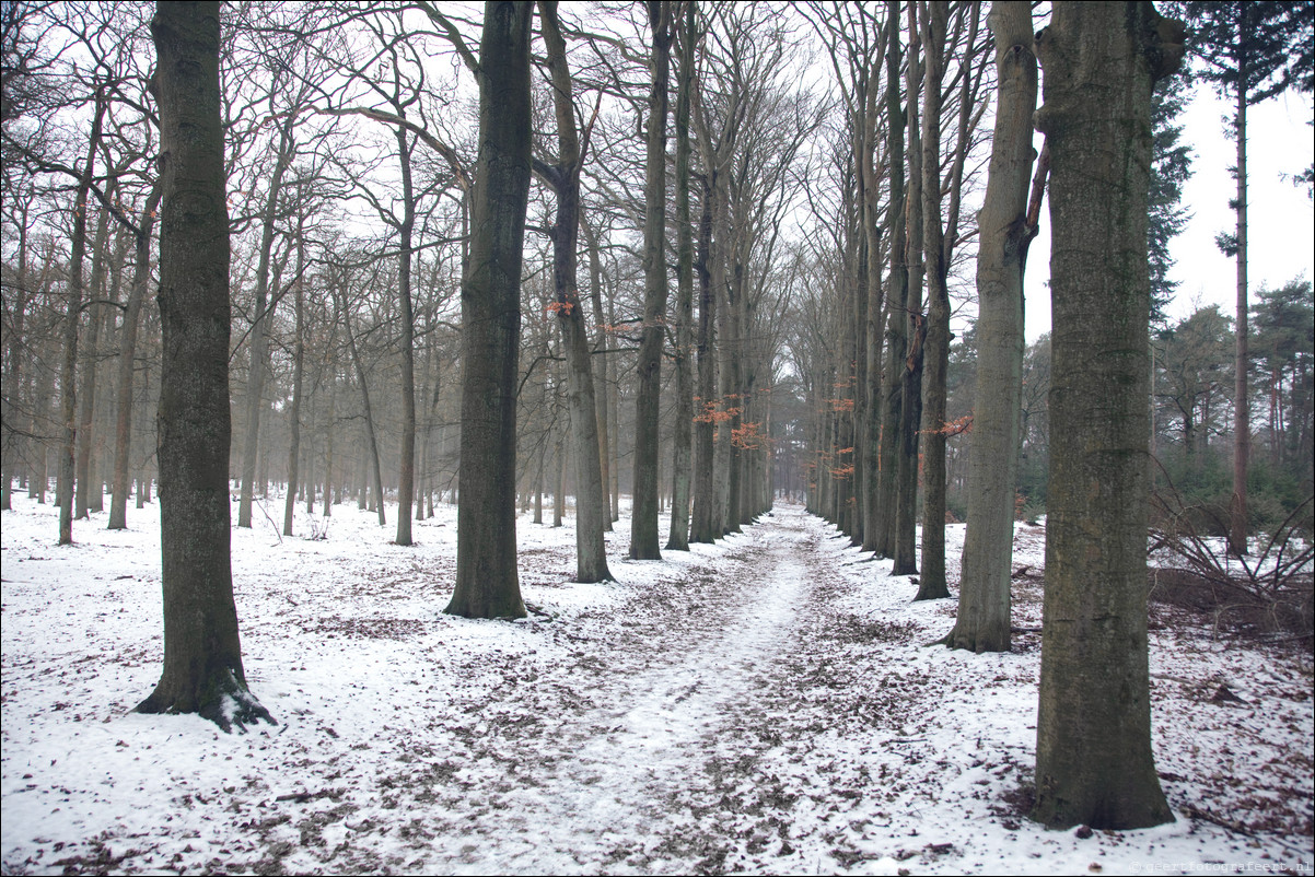 Wandeling Baarn - Hollandse Rading