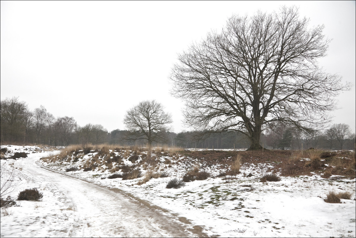 Wandeling Baarn - Hollandse Rading