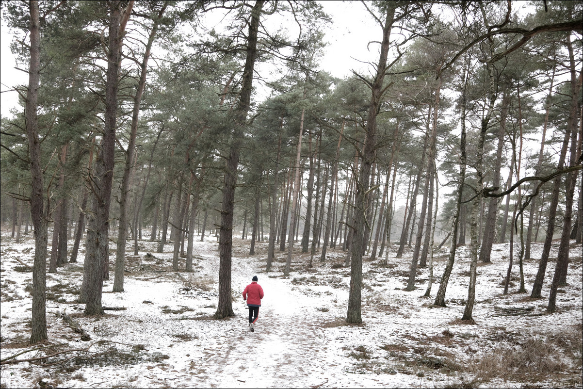 Wandeling Baarn - Hollandse Rading