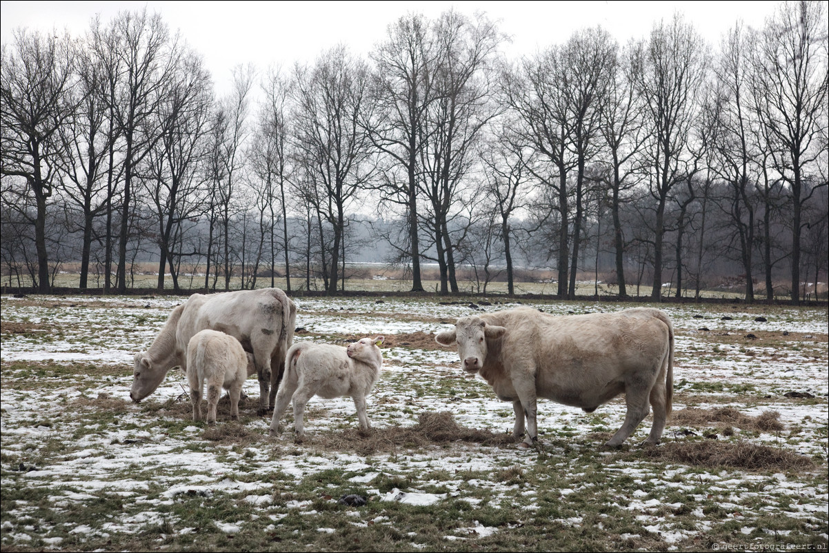 Wandeling Baarn - Hollandse Rading