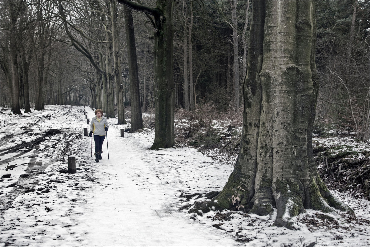 Wandeling Baarn - Hollandse Rading