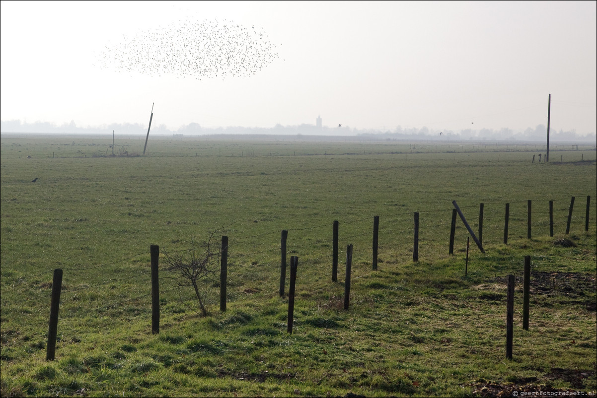 Wandeling Hollandse Rading - Utrecht