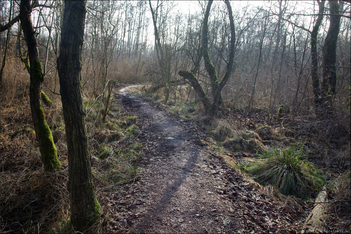 Wandeling Hollandse Rading - Utrecht