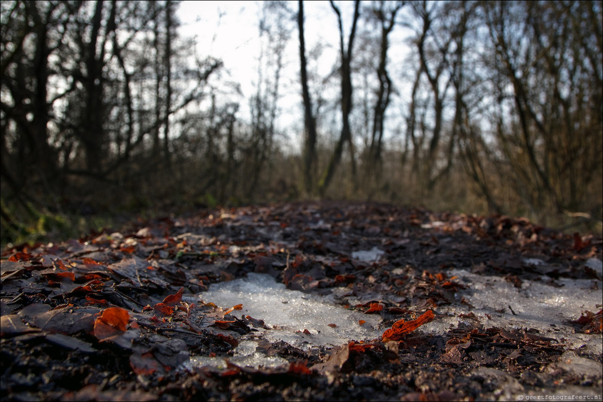 Wandeling Hollandse Rading - Utrecht