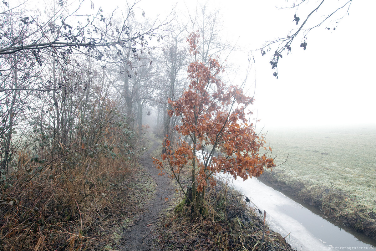 Wandeling Breukelen - Woerden