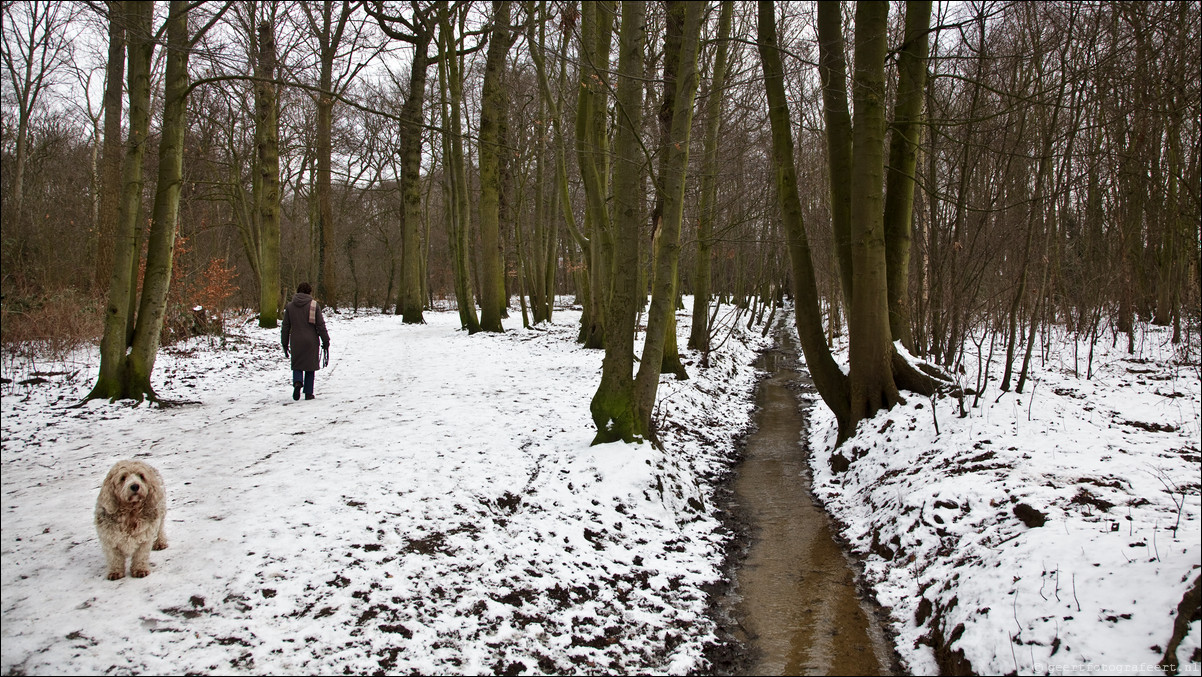 Wandeling Beverwijk - Castricum