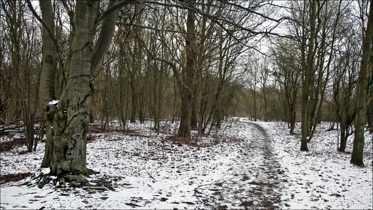 Wandeling Beverwijk - Castricum