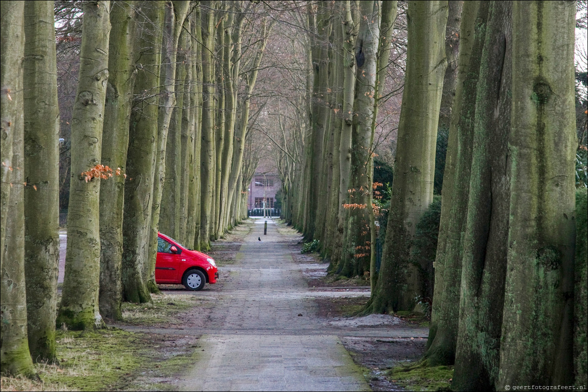 Wandeling Beverwijk - Castricum