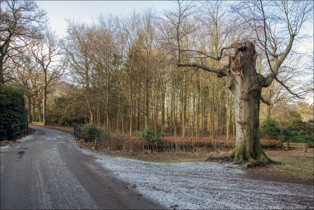 Wandeling Beverwijk - Castricum