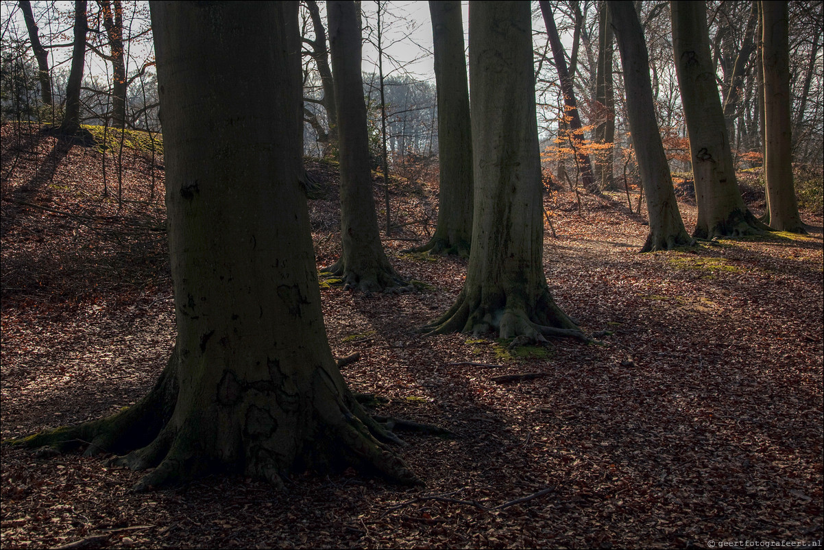 Wandeling Beverwijk - Castricum