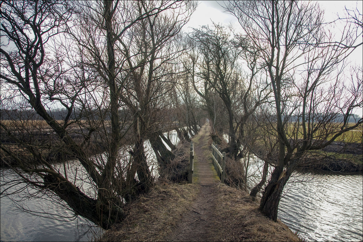 Wandeling Beverwijk - Castricum