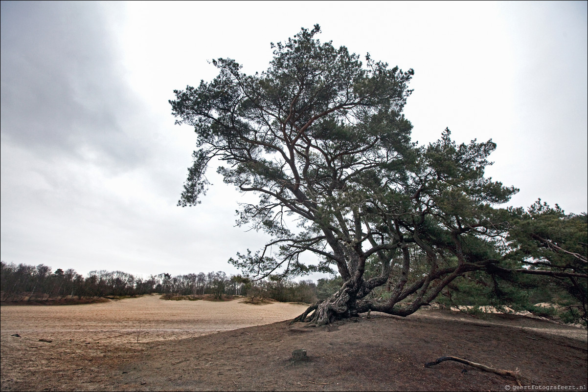 Wandeling Amersfoort Den Dolder