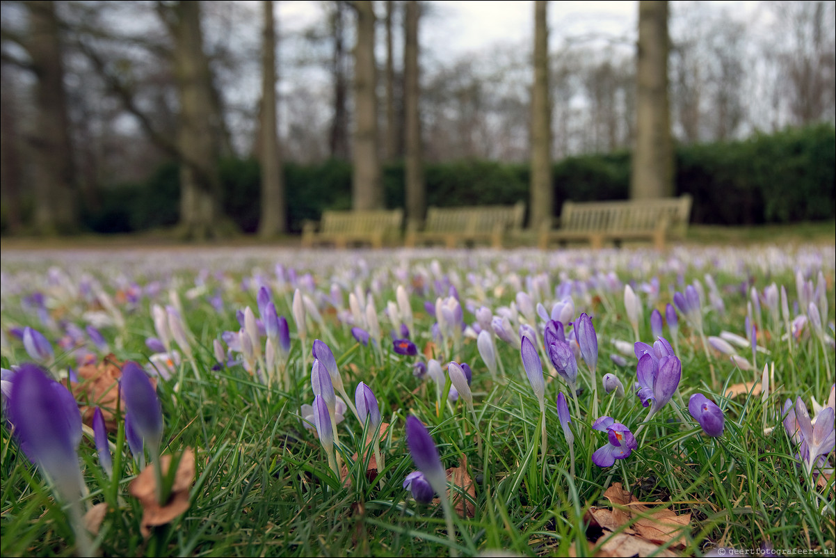 Wandeling Baarn Hilversum