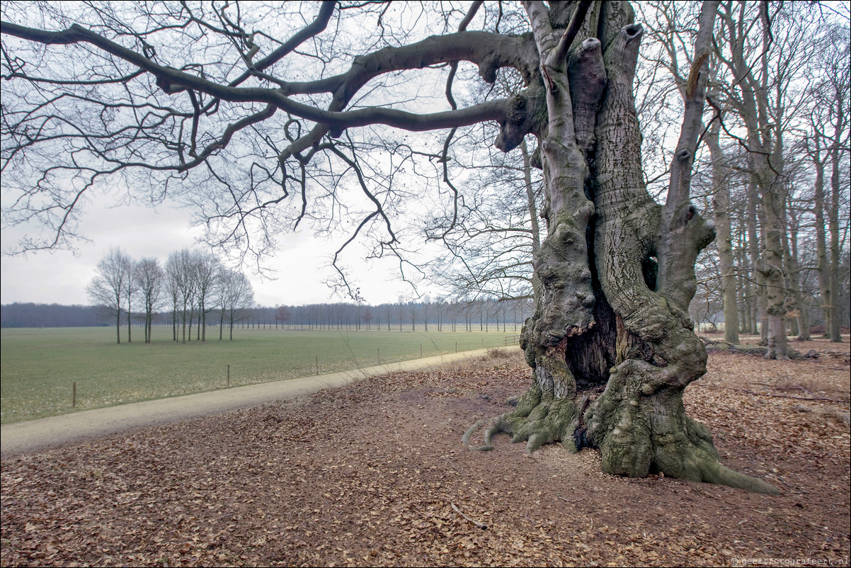 Wandeling Baarn Hilversum