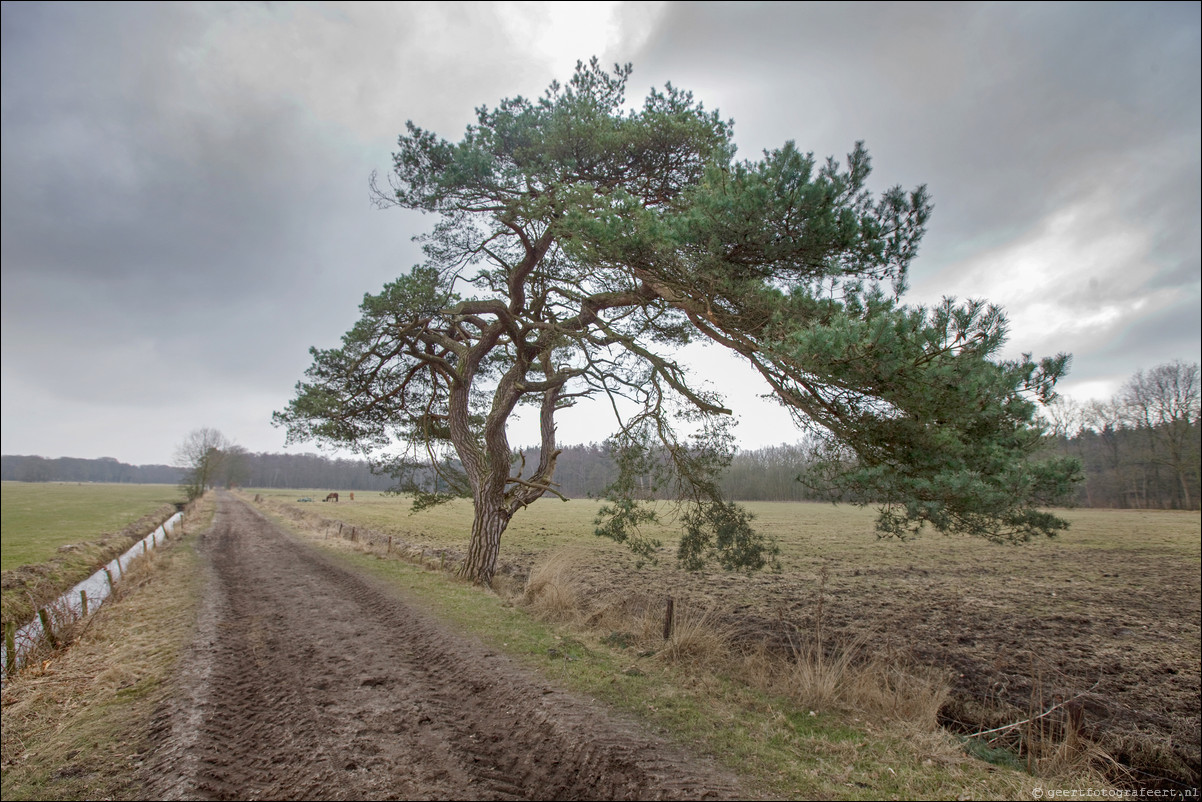 Wandeling Baarn Hilversum