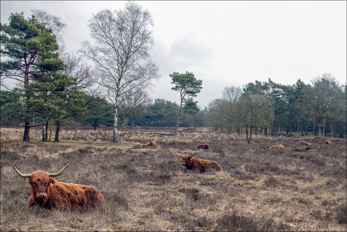 Wandeling Baarn Hilversum