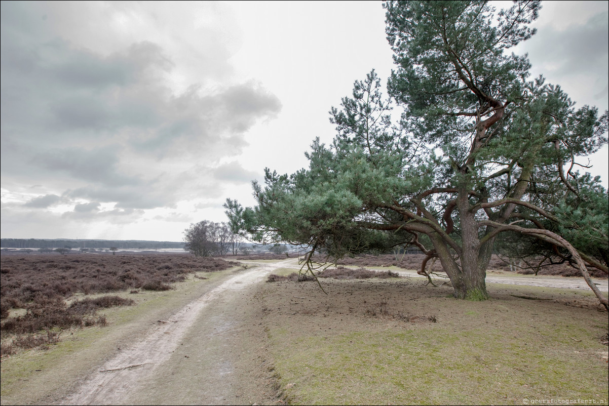 Wandeling Baarn Hilversum