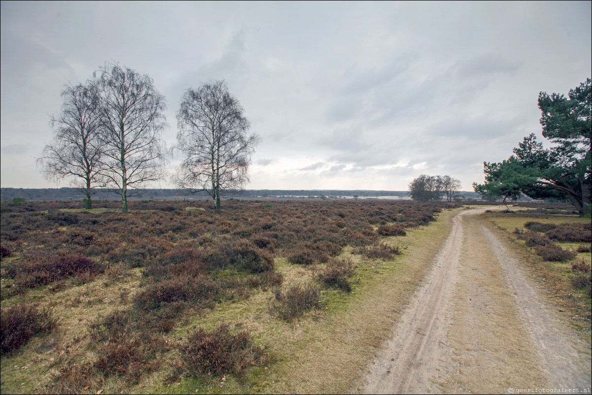 Wandeling Baarn Hilversum