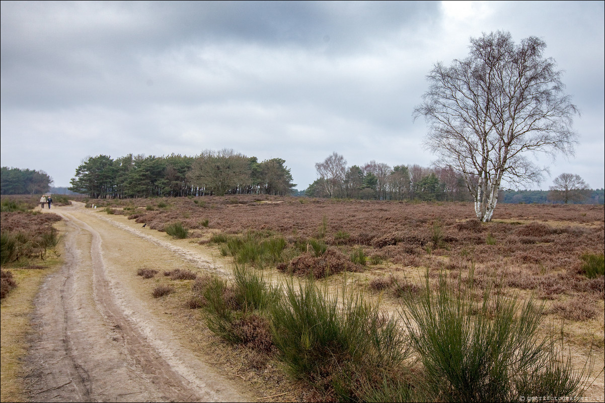 Wandeling Baarn Hilversum