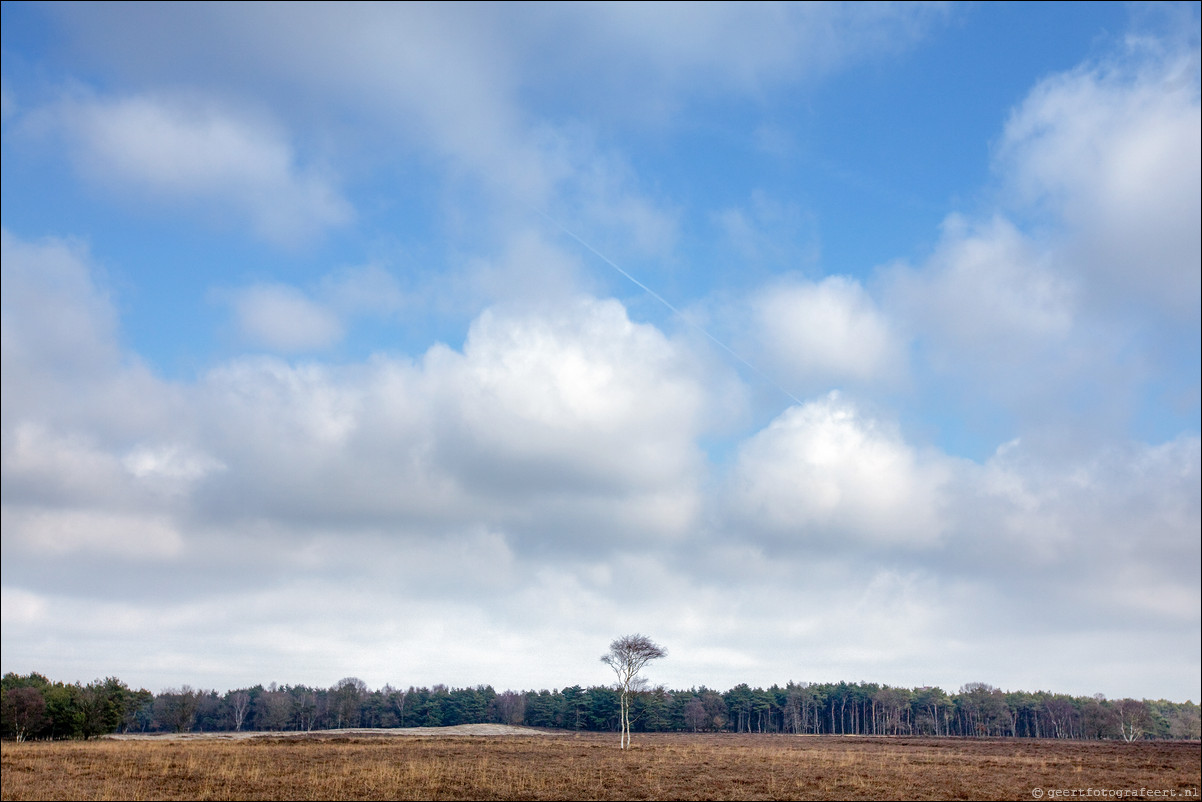 Wandeling Baarn Hilversum